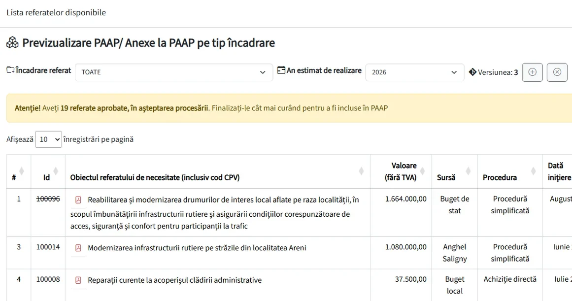 Previzualizare PAAP pe an, tip încadrare și versiune